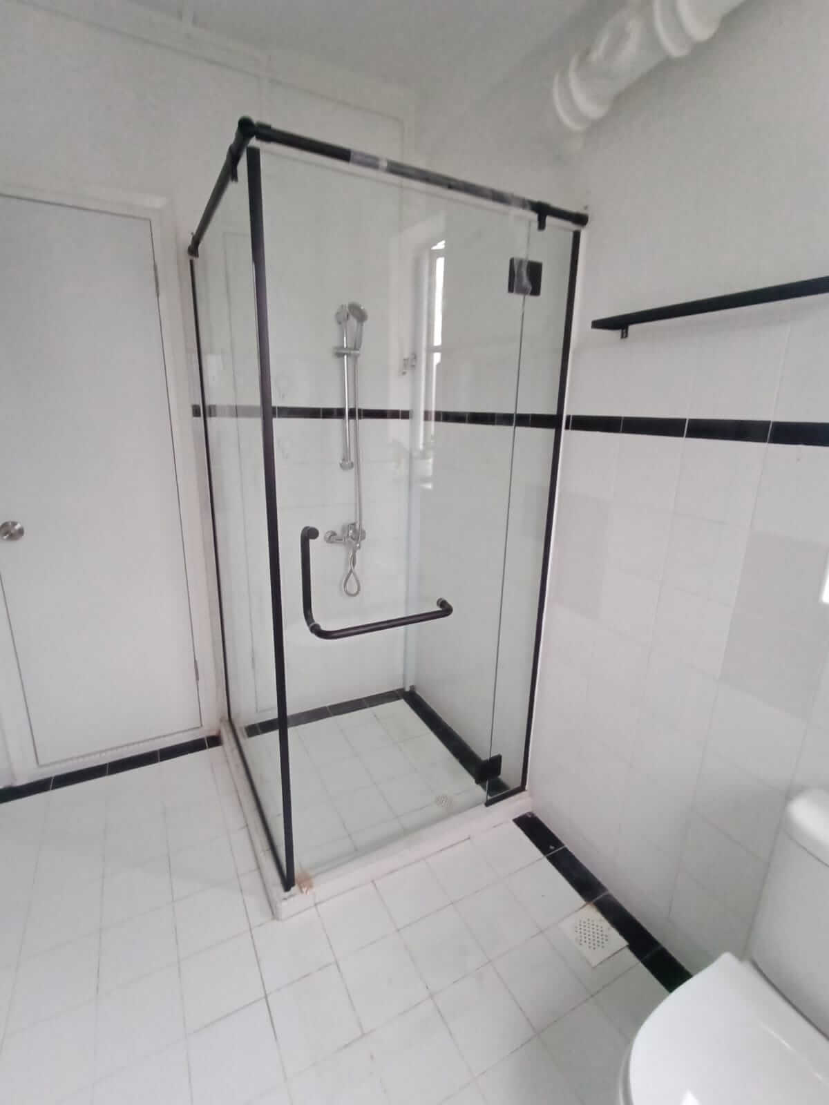 Frameless Shower Screens